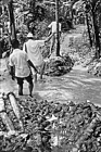 1975 Bangladesh. Surveillance during monsoon season