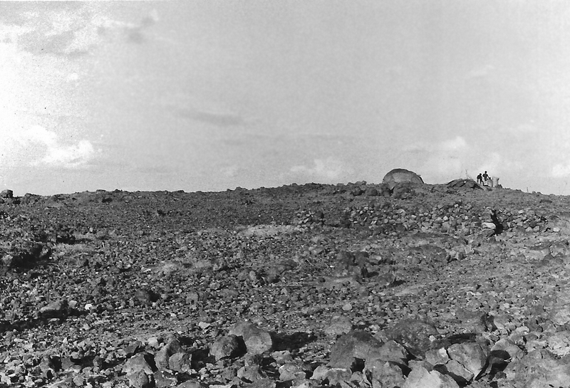 1971 Ethiopia. Hut in Danakil desert