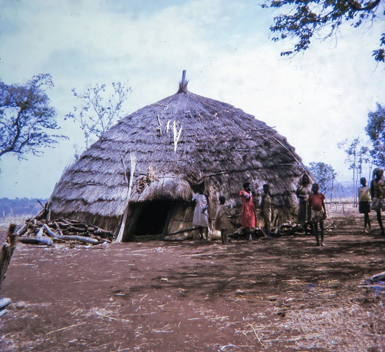  Ethiopia. Elaborate straw house in the Danakil
