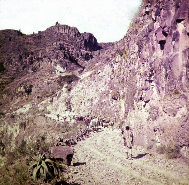 Ethiopia. Mule train