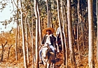 1974 Ethiopia. G Suleimanov