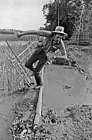 1975 Bangladesh. A Schnur