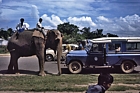 1975 Bangladesh. Elephant to carry reward poster