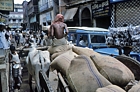 1975 Bangladesh. Program vehicle in traffic