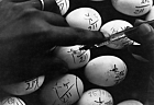1965 Bangladesh. Inoculation of eggs for vaccine potency testing